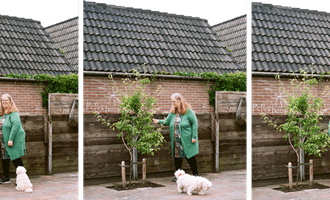 PRACHTIG VOORBEELD OVER SAMENWERKEN MET OUDERS